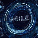 Agile management