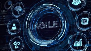 Agile management