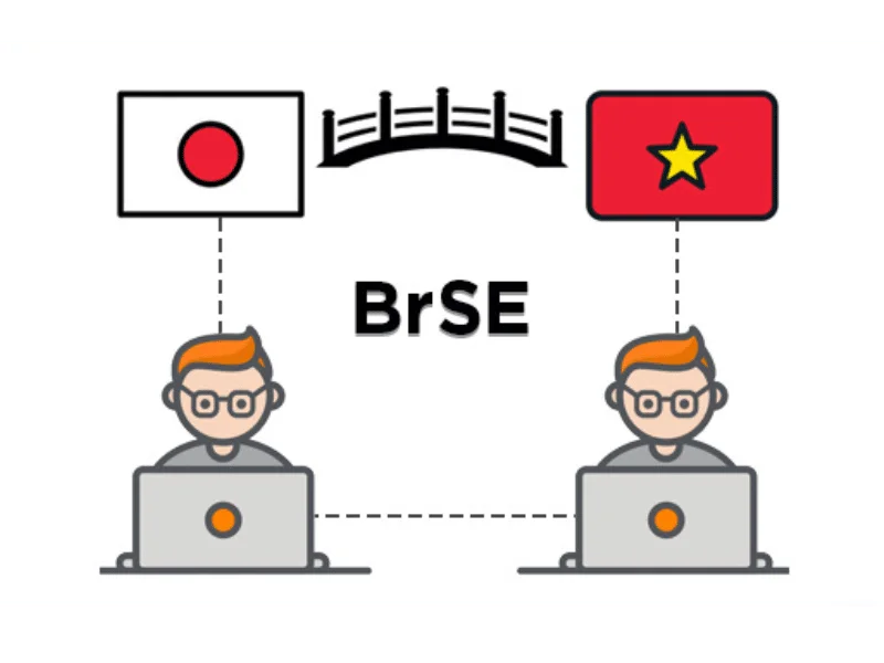 Bridge System Engineer (BrSE)