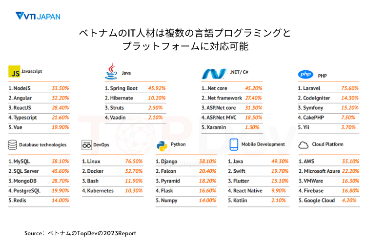 ベトナムのIT人材は複数のプログラミング言語やプラットフォームに対応可能‐VTIジャパン