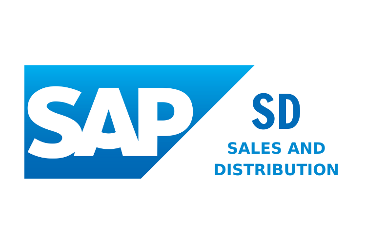 SAP SD (SAP 販売管理）についての入門知識 - VTIジャパン