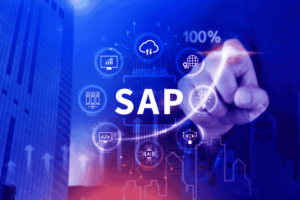 Top SAP managed service provider from Vietnam